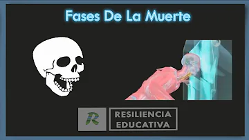 ¿Cuál es la primera fase de la muerte?