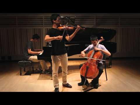 Secrets One Republic Instrumental cover - The Zion Trio