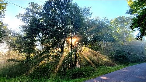 PhotoLink Library — A lighter look