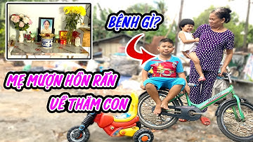 🧡 CHUYỆN CHỒNG THEO GÁI, VỢ UNG THƯ VỀ TRỜI BỎ 3 CON CHO BÀ NGOẠI…TIẾT LỘ THÊM…QUÁ SỐC