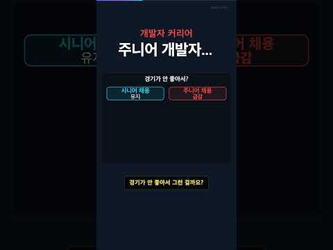 주니어 개발자...