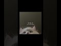 اغنية   مترجمه بدون موسيقى  بدون موسيقى  اكسبلور ترجمة أغاني  