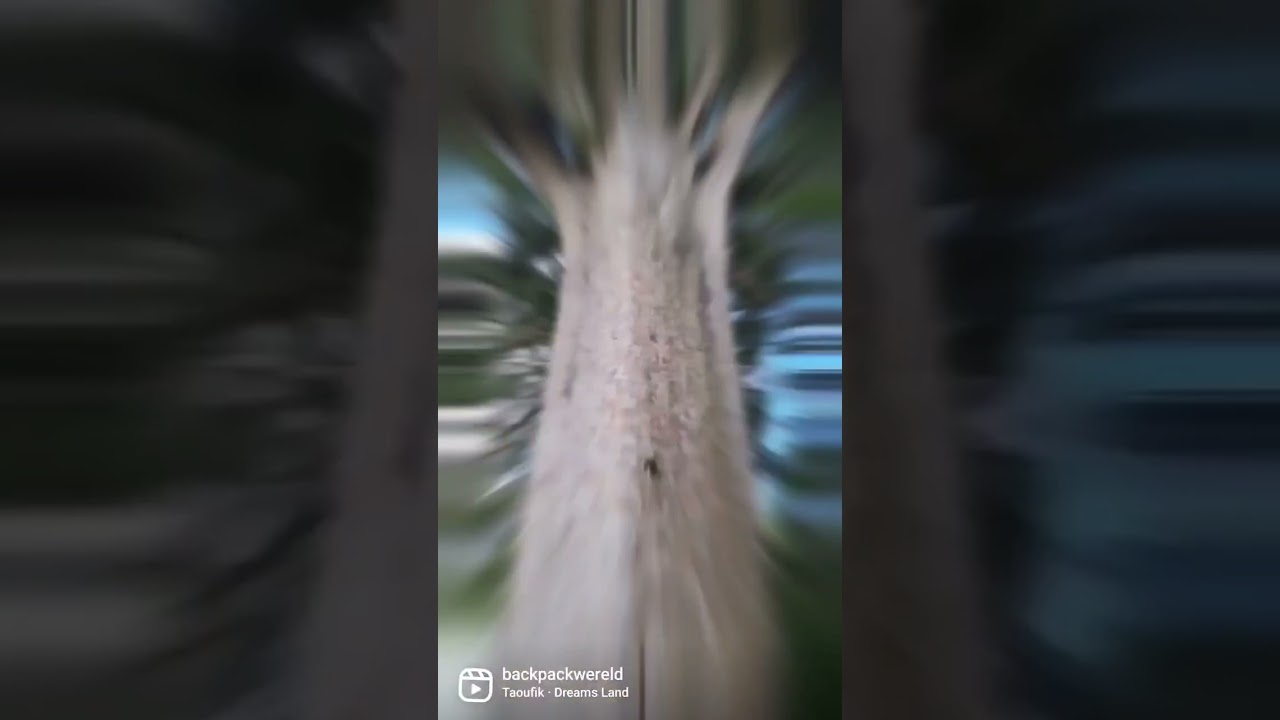 Coromandel Peninsula, New Zealand Roadtrip • Backpackwereld.nl