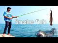 Catching rare fish in india  dangerous nikhil patle