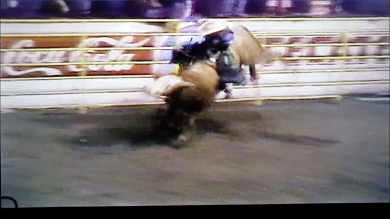 Tijuana Rodeo Rodeo En Tijuana 2005 - YouTube
