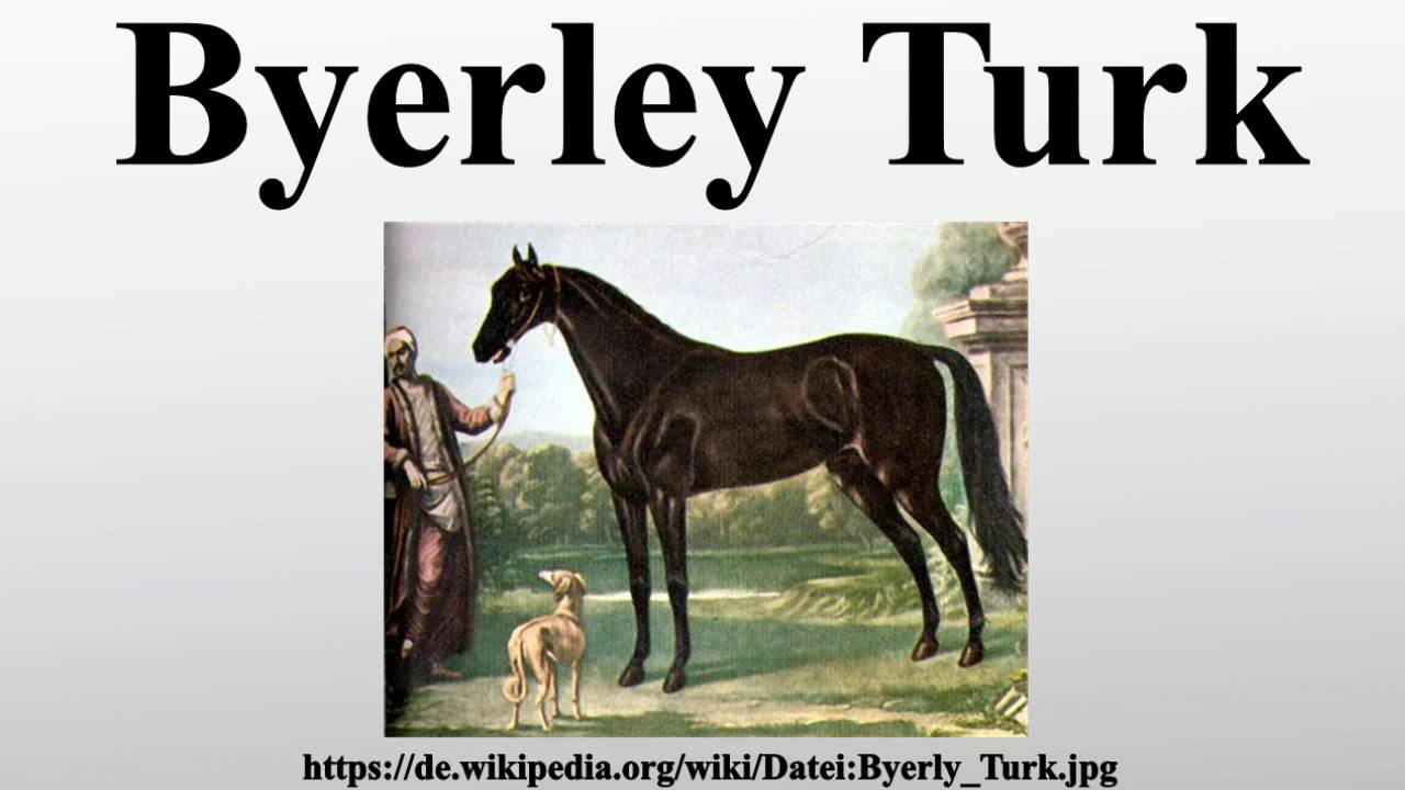 Byerley Turk