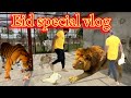 Big cat feeding vlog on eid 2024  african lion king  bengal tiger tony  shero ka badshah