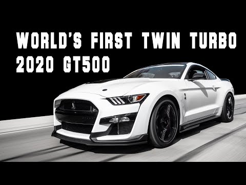 World's First Twin