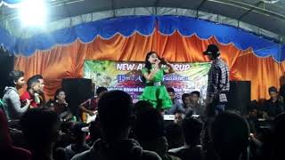 Duda araban dangdut koplo