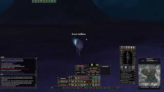 DAoC - Bug report Video