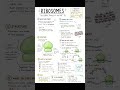 #ribosome  #mitochondria #biology  #neet  #cell the unit of life #vipinsir  #physicswallah  #shorts