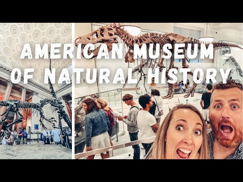 American Museum of Natural History | 1 hour to explore (For Free) #newyorkcity