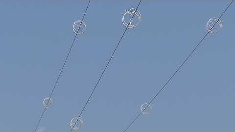 Flight diverters/Bird deterrents 3