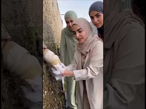 قوي كثير كثير عجبني ضحك اكسبلور كوميديات السعوديه ضحك الخليج العراق سوريا 