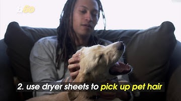 5 Unexpected Ways to Use Dryer Sheets Around the House