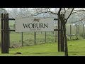 Vlog #3 | Day Trip to Woburn Safari Park | Bedfordshire, UK