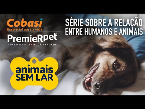 Assista Animais Sem Lar -  Humanos e Animais - Episódio 1