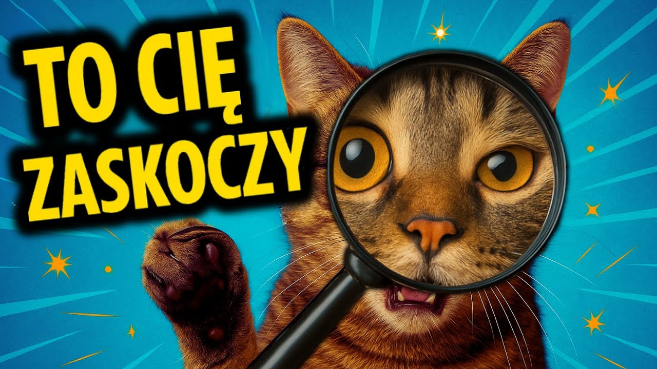 Myślisz, że ZNASZ KOTY? - Te 18 faktów Cię ZASKOCZY!