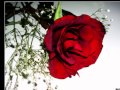 إهداء لصديقاتي نشيد جينا نبارك بنجاحك Mno Al3sl إهداء لصديقاتي نشيد جينا نبارك بنجاحك Mno Al3sl