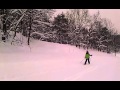 Sndeled xc skiing powder