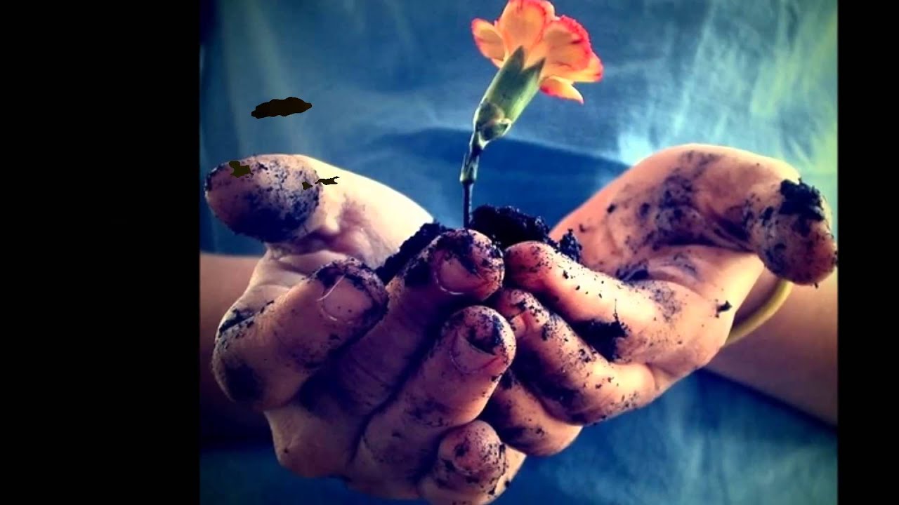 TERESA.  PEDRO FERNANDEZ.