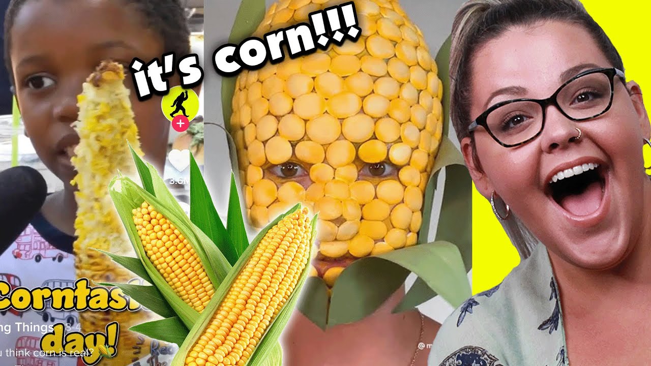 The Best Corn Kid TikTok Videos! REACTION YouTube