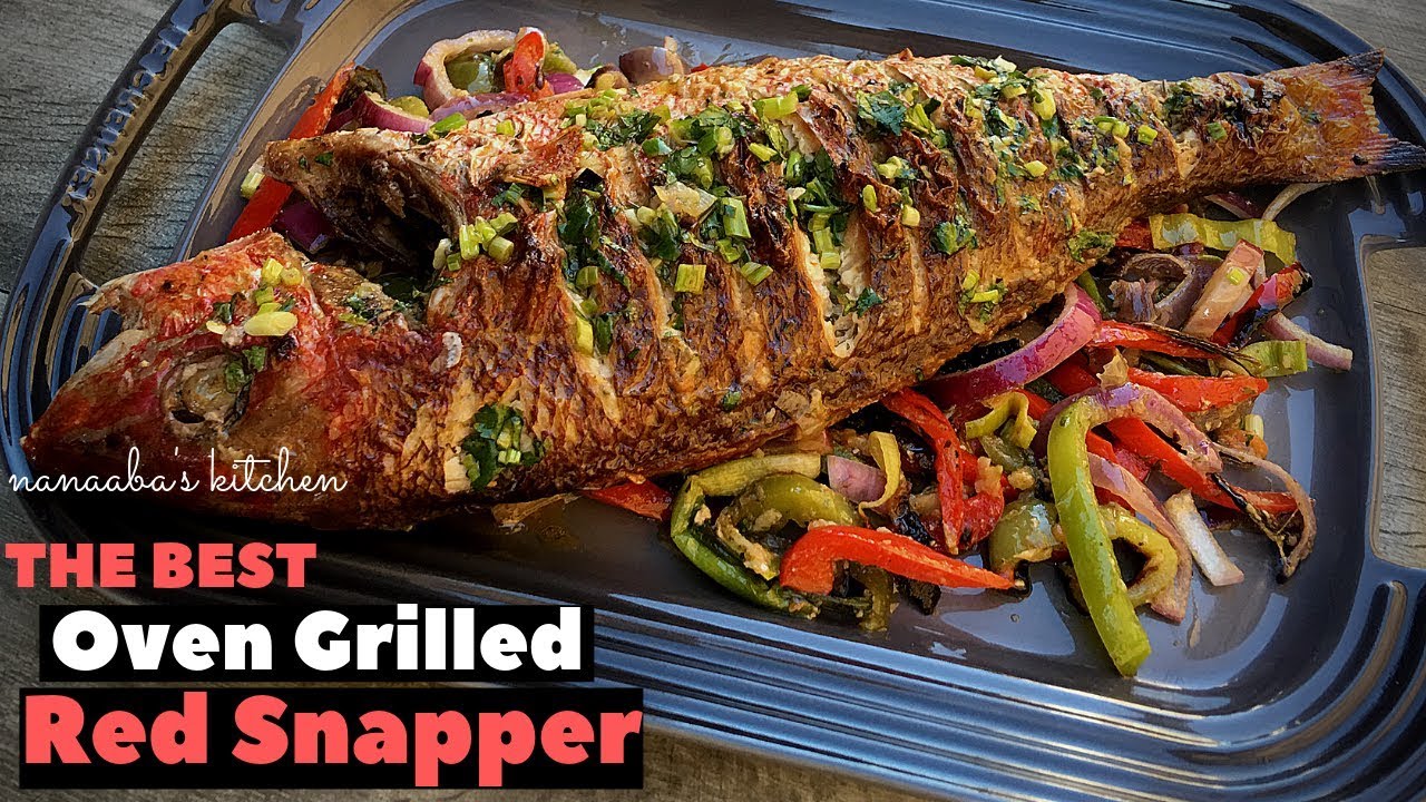 How To Make The Best Oven Grilled Red Snapper Youtube,Crested Gecko Terrarium