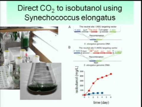 Energy Biosciences Institute Seminar - James C. Liao