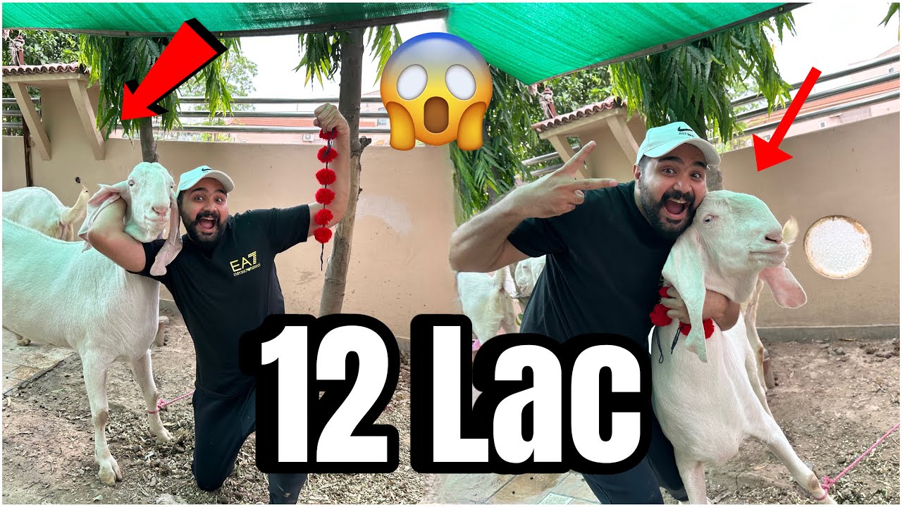 Mandi Sy Bakry Ly Ay🥰Wapari k Sath Behs😀