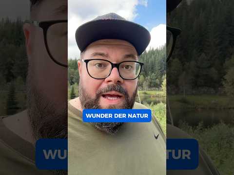 Die blaue Ananas vom ORF