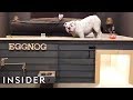 Bulldog Dog House Is Probably Better Than Your Apartment