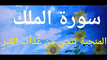 تلاوة مباركة من سورة الملك المنجية من عذاب القبر