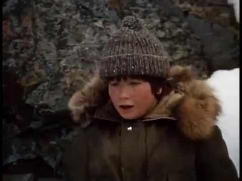 The Courage of Kavik The Wolfdog 1980 Full Movie Family Adventure Drama