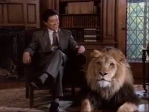 [삼성카드의 시작] 위너스 카드 '사자'편