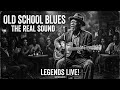 Janis Joplin, ZZ Top, Led Zeppelin, Amy Winehouse Power Blues Rock Guitar with gritty Lady Vocals