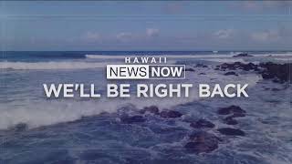 Download Lagu DIT IS NU (28 november 2025) MP3