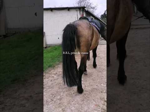 Plus De Liasse Bbl Prise De Masse 