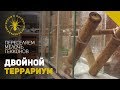 Новый террариум для подрастающих гекконов(перезалив)