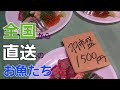 全国から朝獲り直送の海鮮屋Shops from all over Japan that ship directly from the morning