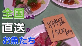 全国から朝獲り直送の海鮮屋Shops from all over Japan that ship directly from the morning