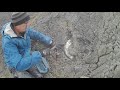 Fossil Hunting Episode 35, Part2 -  Speeton 06.05.19