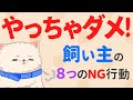 ショック！愛情表現のはずが犬にストレスを与える飼い主の行動