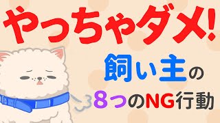 ショック！愛情表現のはずが犬にストレスを与える飼い主の行動