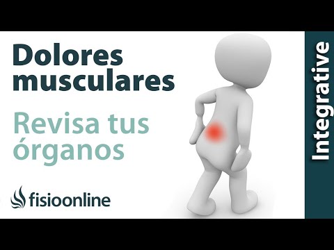 ¿Tienes un dolor muscular o articular que no se resuelve? Revisa tus órganos