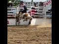 10 year old on a mini bucking horse