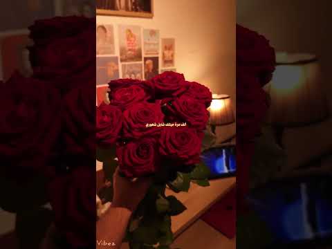 ألف مرة جيت لك شايل شعوري وأرجع بنفس الشعور وما شرحته شايلشعوري لماح عايض 