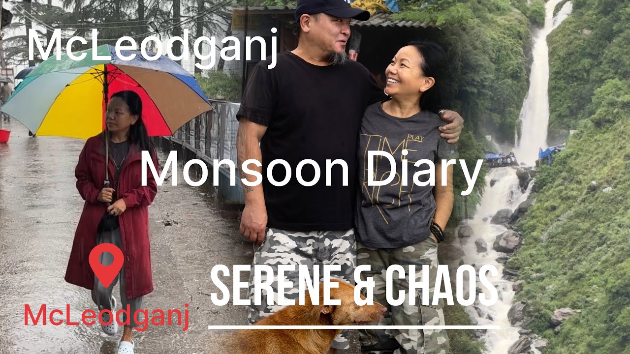 McLeodganj Monsoon Dairy  #tibetanvlogger  #monsoon #mcleodganj 