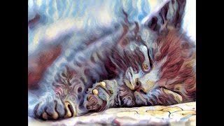 PRISMA Art Filters screenshot 2