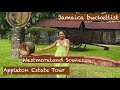 Appleton Estate Rum Tour ~ Jamaica BUCKETLIST ~ views from Westmoreland ~ JAMAICAN CULTURE