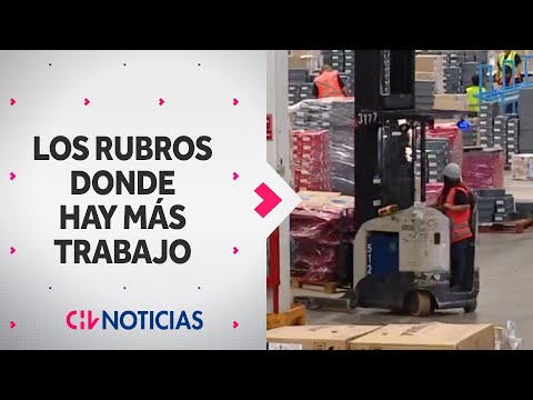 ¿EN BUSCA DE